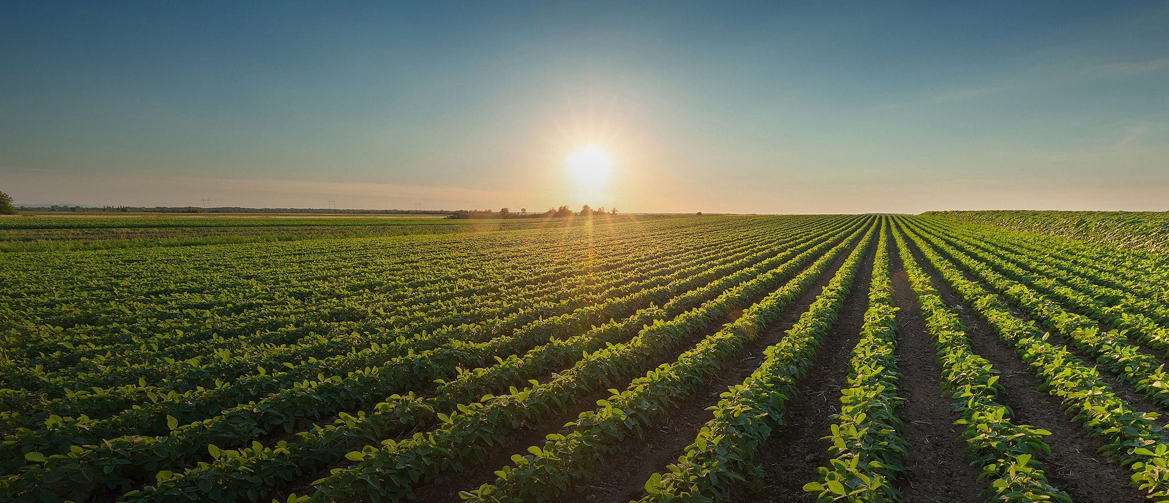 Agri-Finance | Commerce Bank